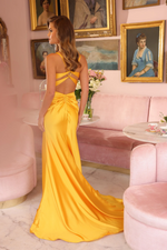 This dress features a fitted bodice with corset-style details and delicate spaghetti straps for a touch of elegance. The gown’s fitted silhouette is complemented by a side slit. This may be your dream dress for your prom or formal event!

ARY 47035